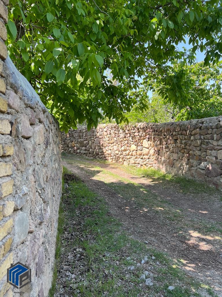 فشند ۶۳۰ متر باغچه - تصویر 4