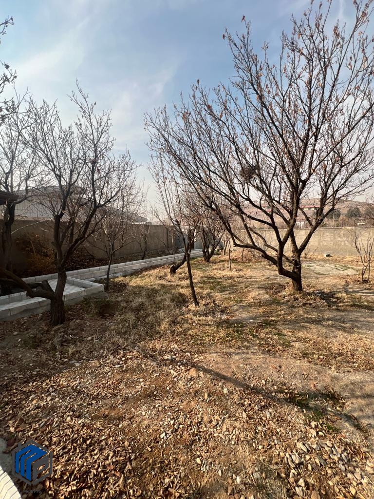 کوهسار خوروین ۷۱۵ متر چهاردیواری - تصویر 2