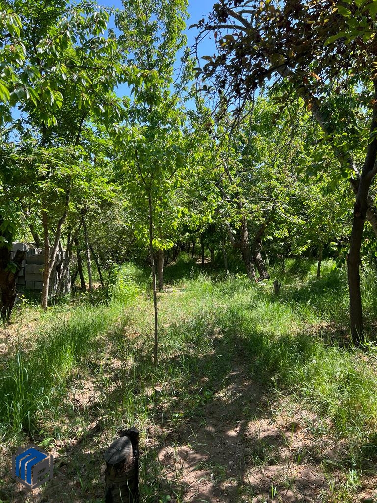 فشند ۶۳۰ متر باغچه - تصویر 5