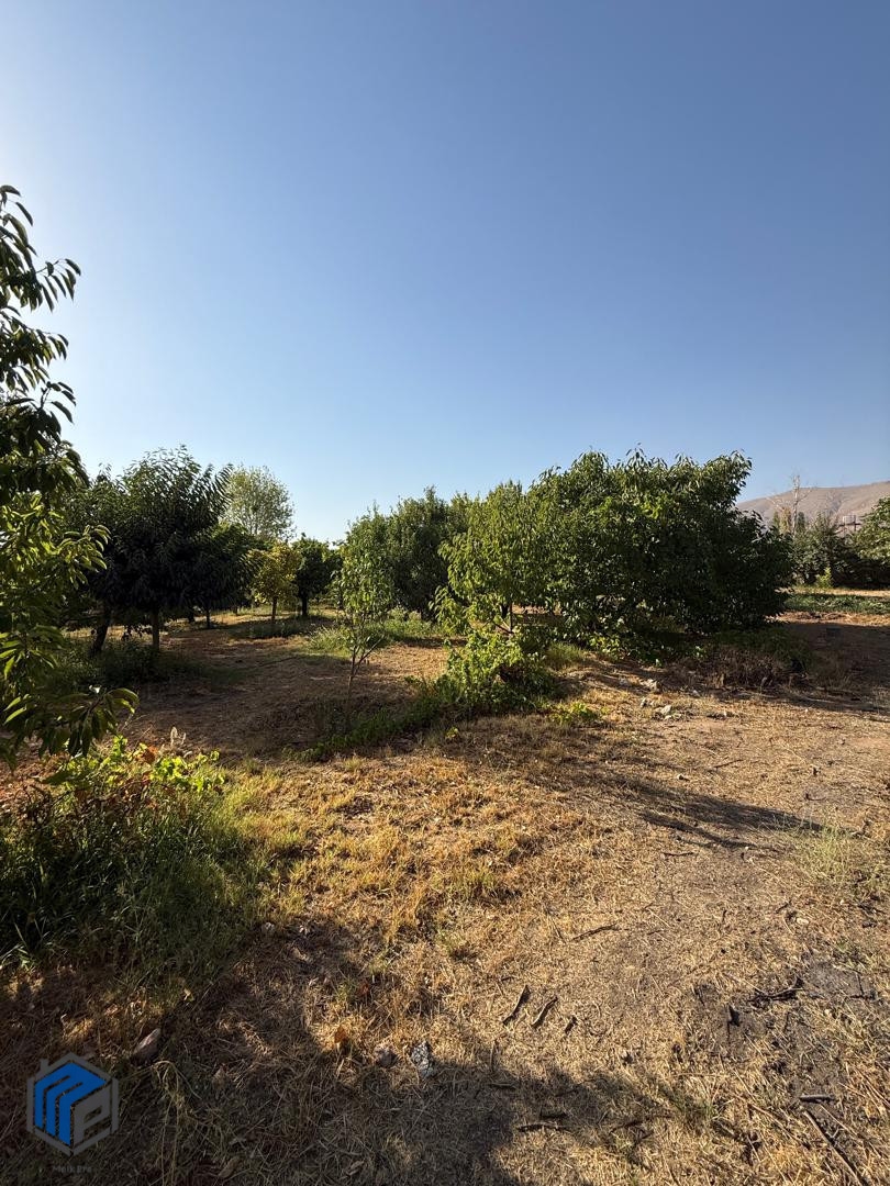 2500 متر باغ - تصویر 2