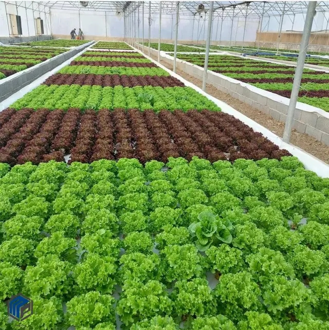 10750 متر زمین به همراه گلخانه