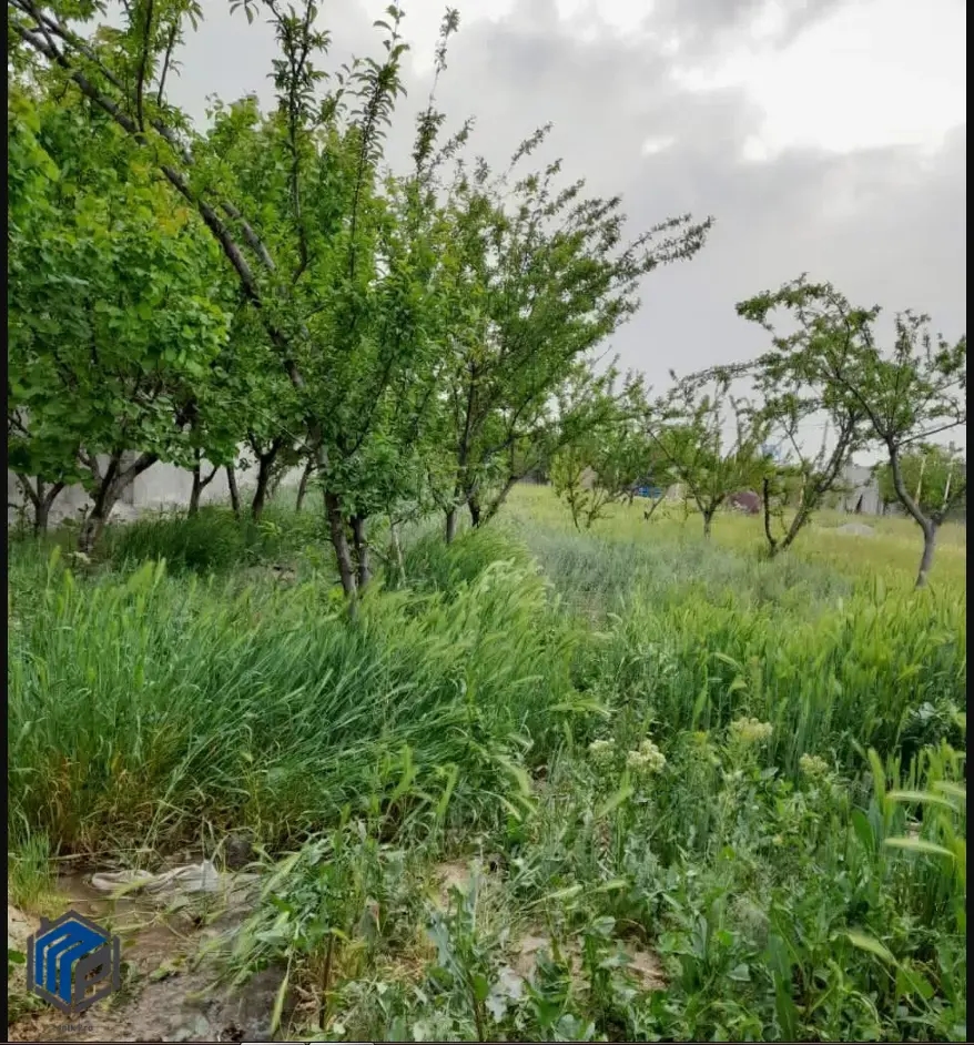 13700 متر باغچه مثمر هشتگرد قابلیت تفکیک