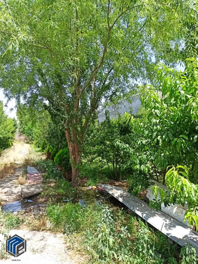 1008 متر زمین چهاردیواری بر جاده