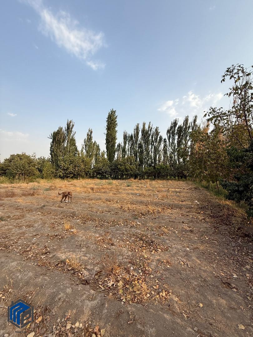 8 هزار متر زمین - تصویر 4