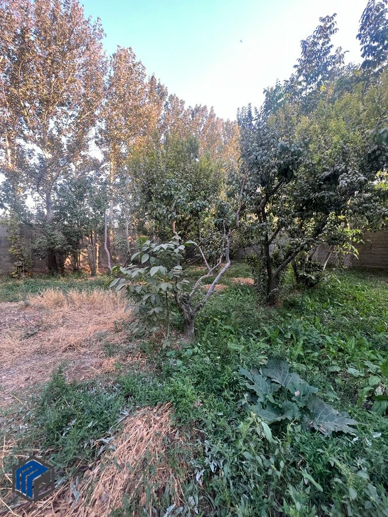 سهیلیه روستای اغچه حصار ۱۰۰۰متر باغچه - تصویر 5