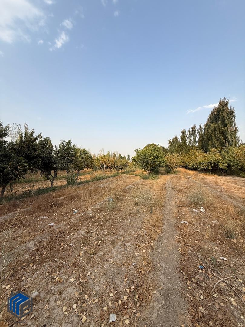 8 هزار متر زمین