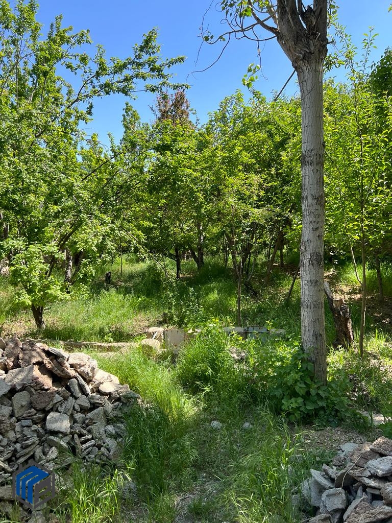 فشند ۶۳۰ متر باغچه - تصویر 2