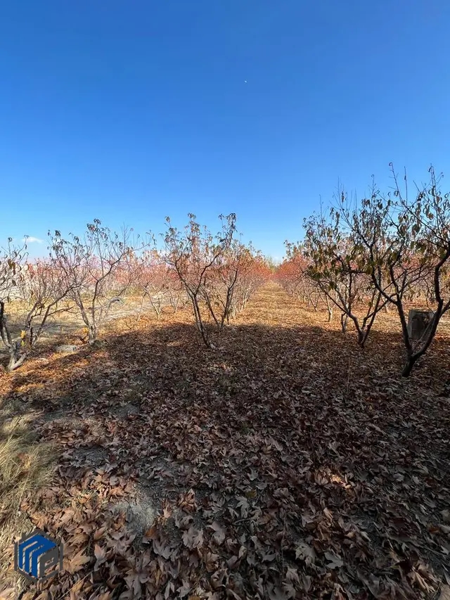 تهراندشت سعید آباد قوارهای ۴۷۰ متری