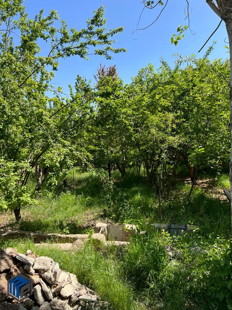 فشند ۶۳۰ متر باغچه - تصویر 3