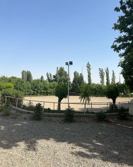 شنده چهارده هزار متر اسب سواری