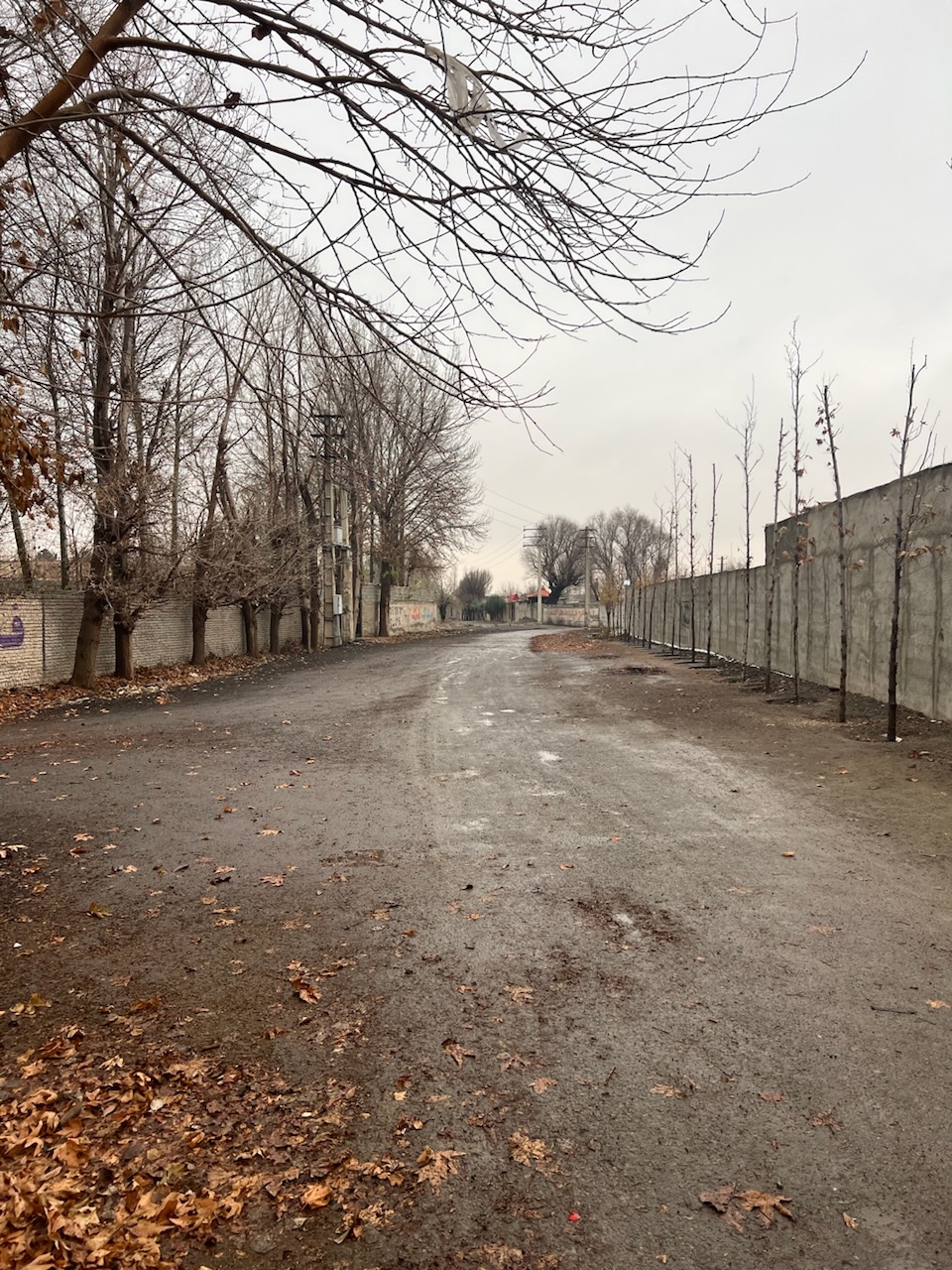 چهارباغ ۶۰۰متری شهرک کامرانیه