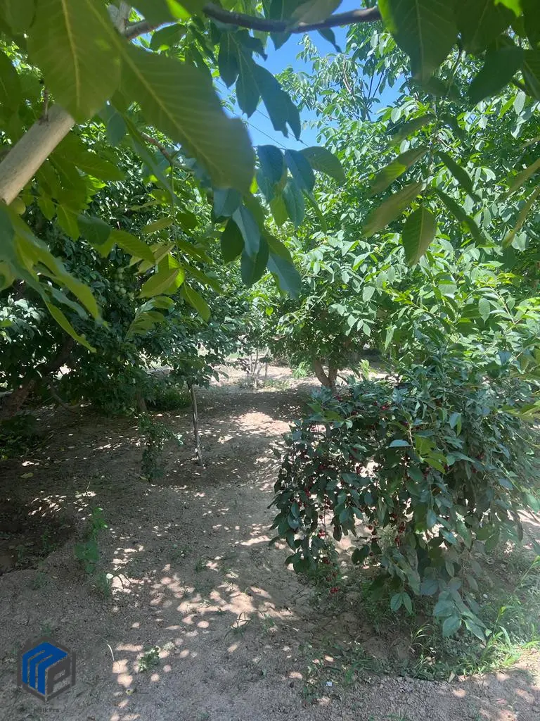 1000 متر باغچه انتهای شهرک لوکس ویلیج کردان - تصویر 1