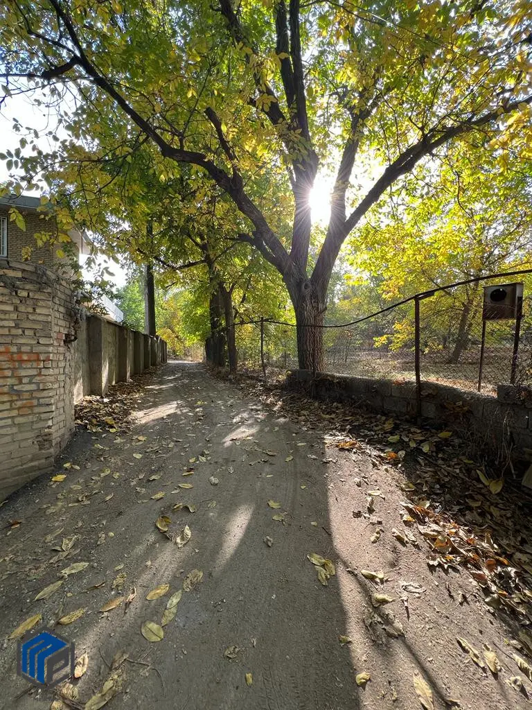 کردان روستای ولیان ۳هزار متر - داخل بافت - تصویر 1