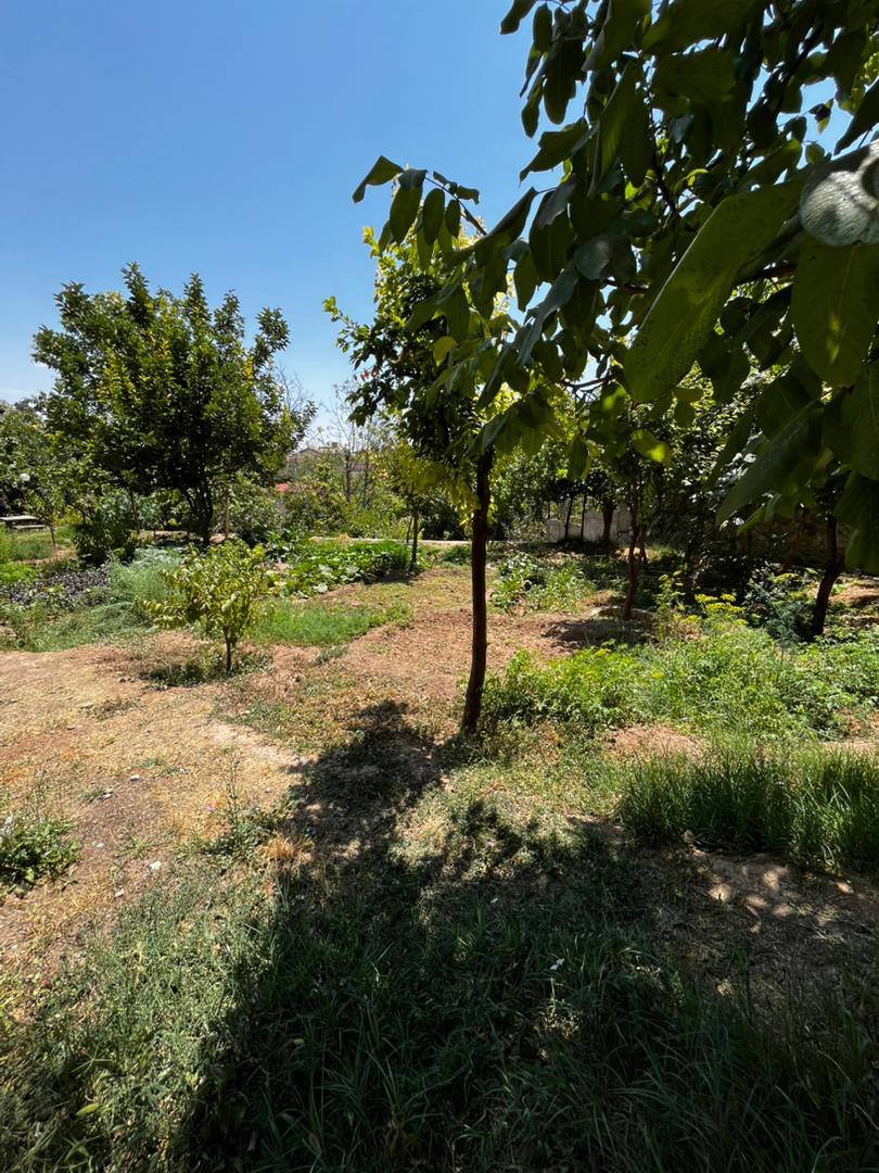فروش باغ ویلا در کردان روستای کوشک زر با امکانات کامل - تصویر 11