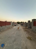 قواره های 350 متری - تصویر 8