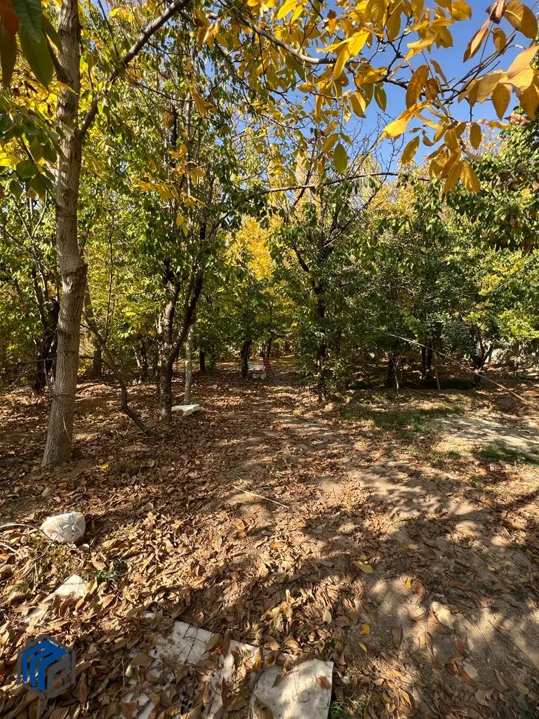 کردان روستای ولیان ۱۲۰۰هزار متر - داخل بافت - تصویر 1