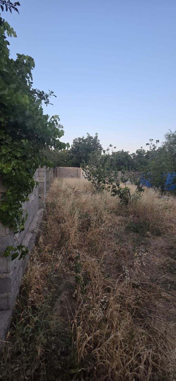 فروش 900 متر زمین در کوهسار شنده مناسب ساخت ویلا - تصویر 6