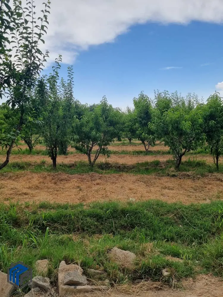 1400 متر باغچه مثمر سند دار