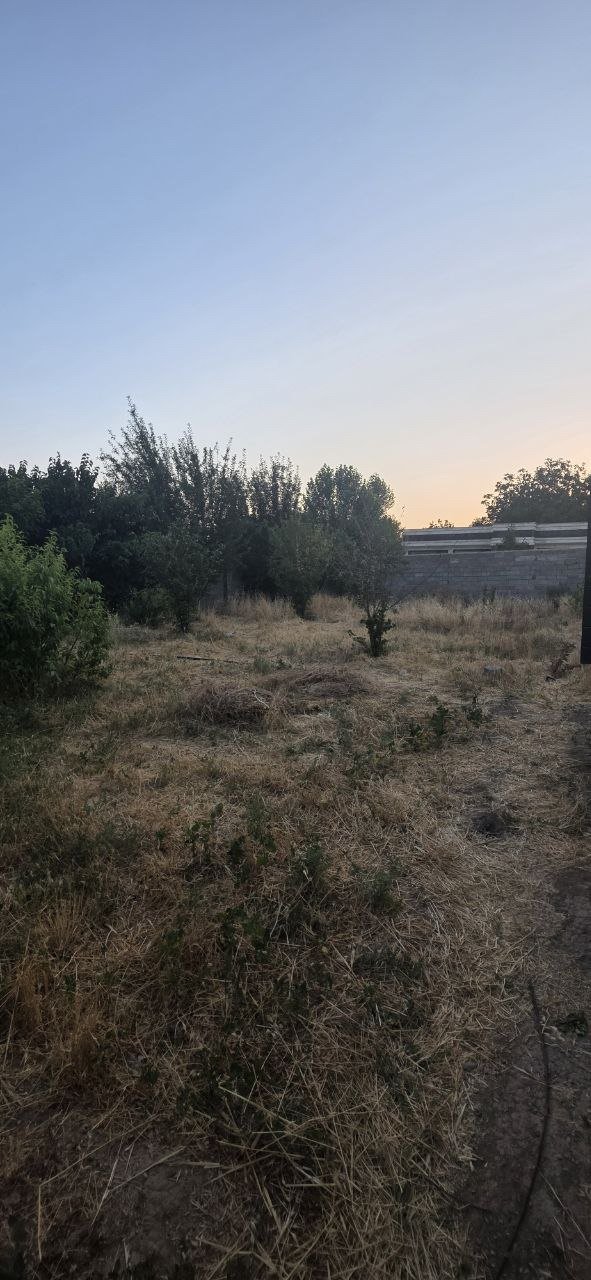 فروش 900 متر زمین در کوهسار شنده مناسب ساخت ویلا - تصویر 2