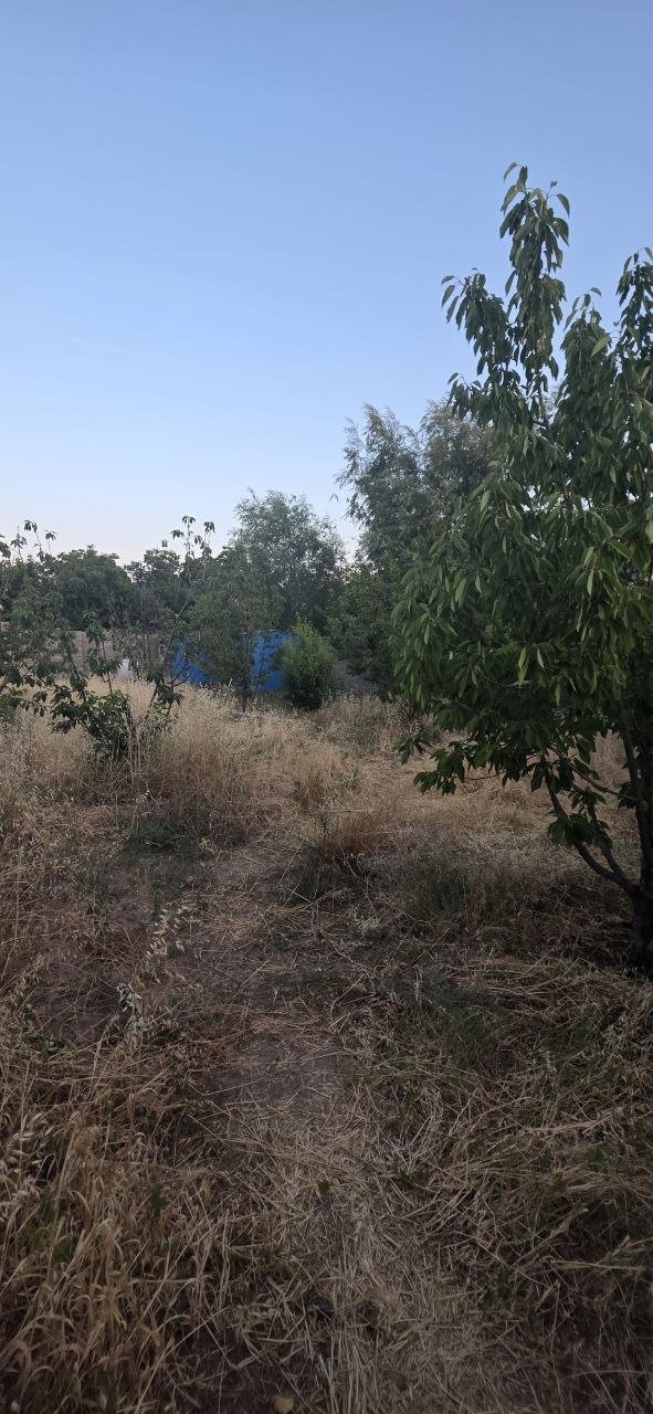 فروش 900 متر زمین در کوهسار شنده مناسب ساخت ویلا - تصویر 8