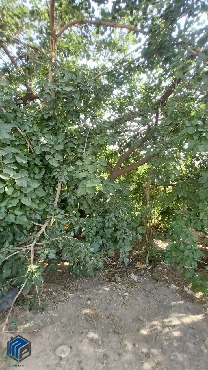 470 متر باغچه مثمر کوهسار - تصویر 1